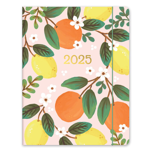 Orange Circle 2025 Just Right Monthly Planner Fruit And Flora